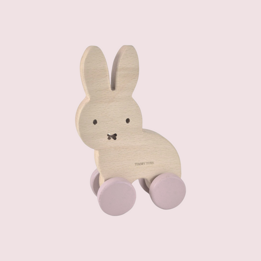 Minky Bunny on  Wheels - Pink