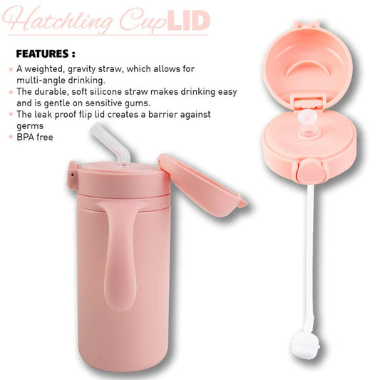 Lizzard Hatchling Kids Flask 280ml, Assorted